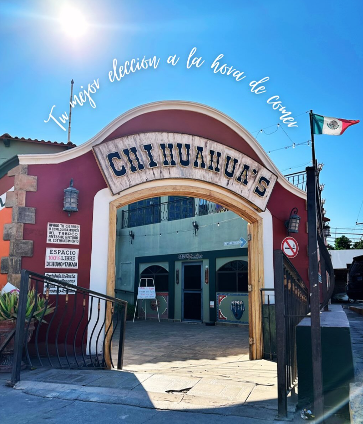Chihuahua’s
